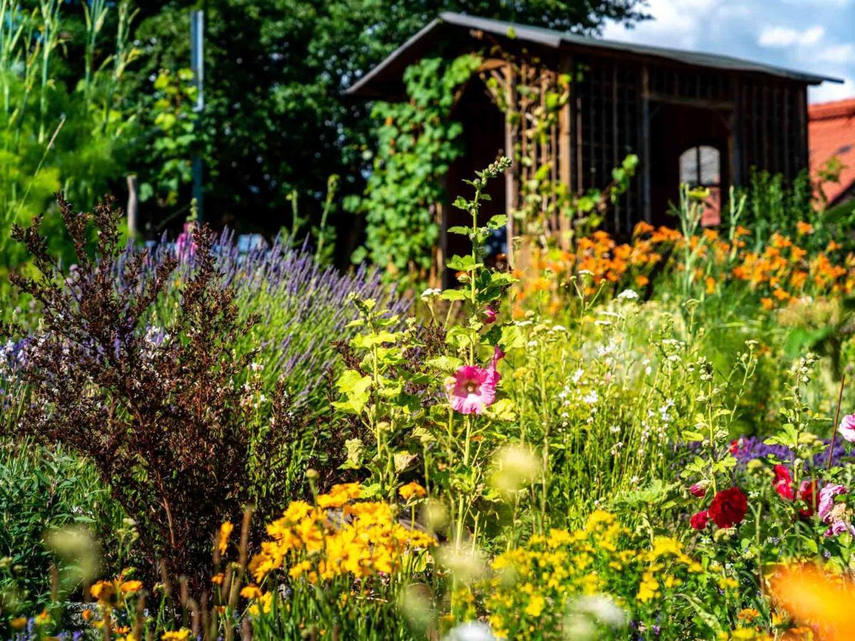 Landhotel Gut Wildberg Meißen Eksteriør bilde